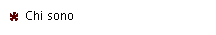 Chi sono